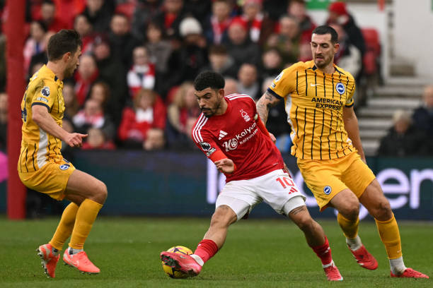 努力將溫布 努力將溫布